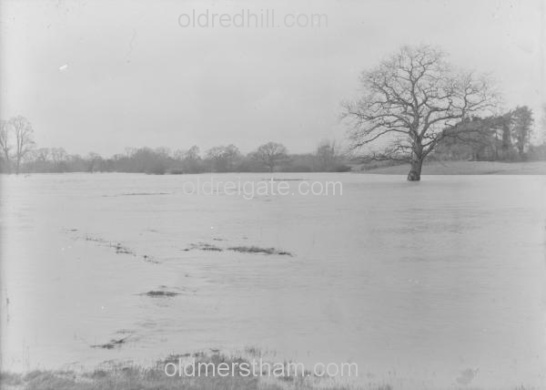 Image number 1420&prevurl=rivermole