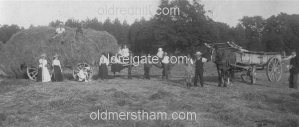 Image number 144&prevurl=battlebridgelane