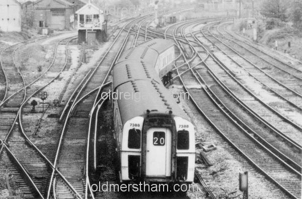 Image number 1516&prevurl=publishers316