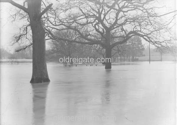 Image number 1759&prevurl=rivermole