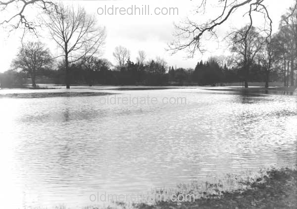 Image number 1760&prevurl=rivermole