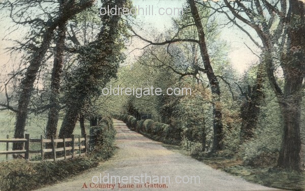 Image number 1838&prevurl=publishers69