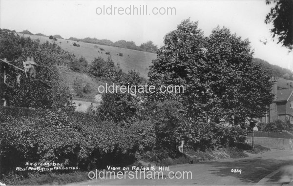 Image number 201&prevurl=publishers39