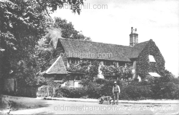 Image number 2803&prevurl=linkfieldlane2