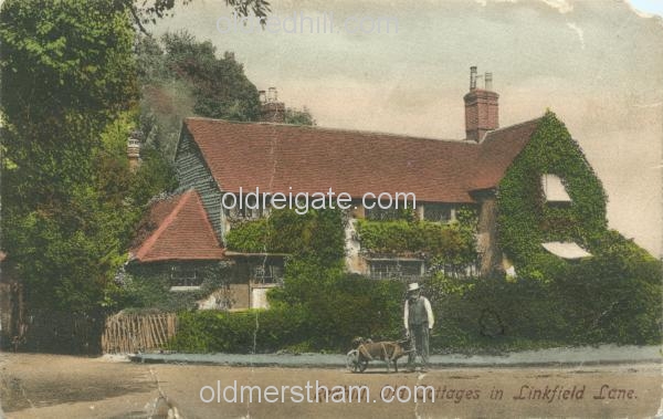 Image number 2804&prevurl=linkfieldlane2