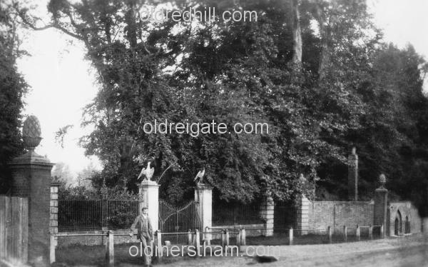 Image number 328&prevurl=publishers26