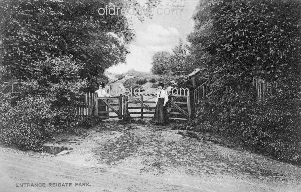 Image number 3480&prevurl=publishers47