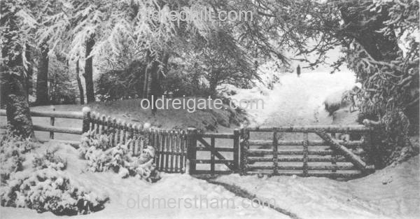 Image number 3488&prevurl=publishers19