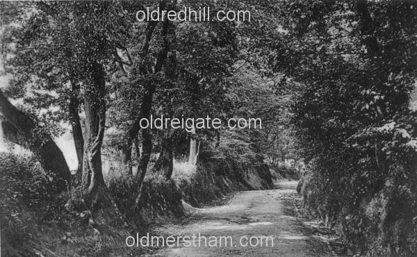 Image number 3620&prevurl=publishers60