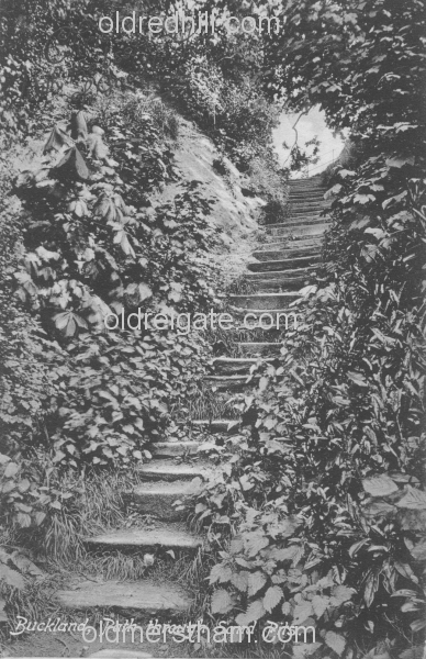 Image number 369&prevurl=betchworth