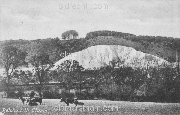 Image number 372&prevurl=betchworth