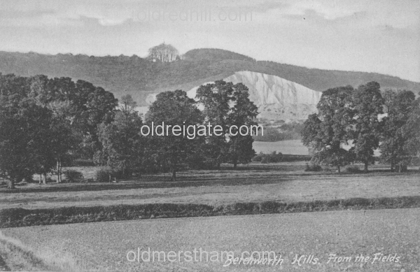 Image number 373&prevurl=betchworth