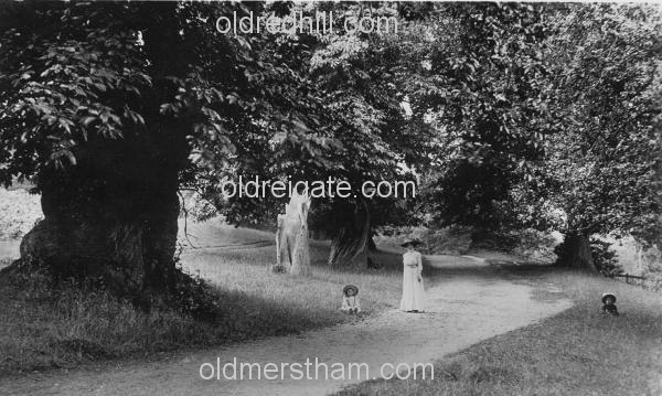 Image number 386&prevurl=publishers60