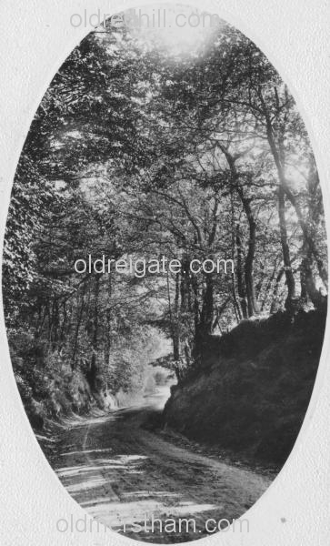 Image number 4209&prevurl=redstonehollow