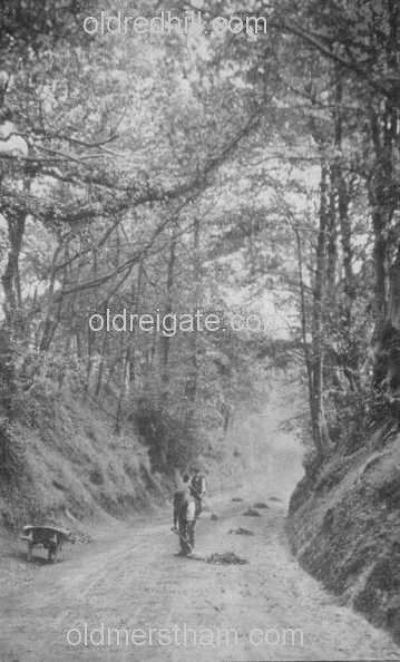 Image number 4210&prevurl=redstonehollow