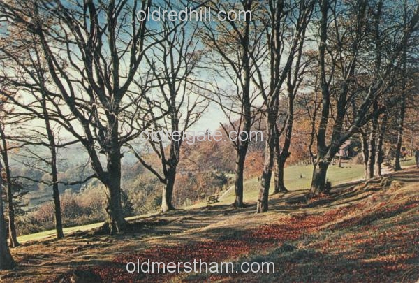 Image number 4393&prevurl=publishers82