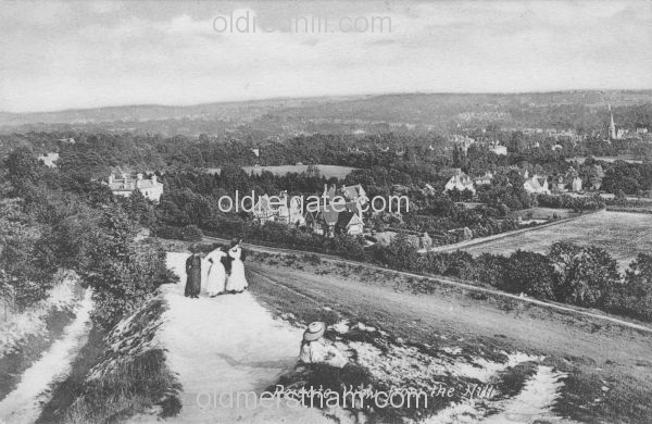 Image number 4473&prevurl=reigatehill5