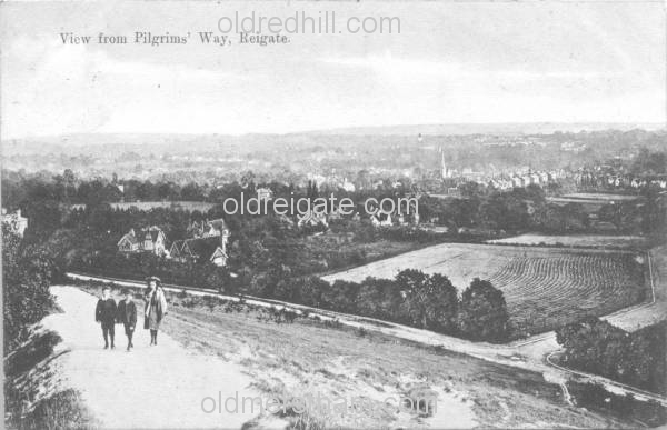 Image number 4474&prevurl=reigatehill5