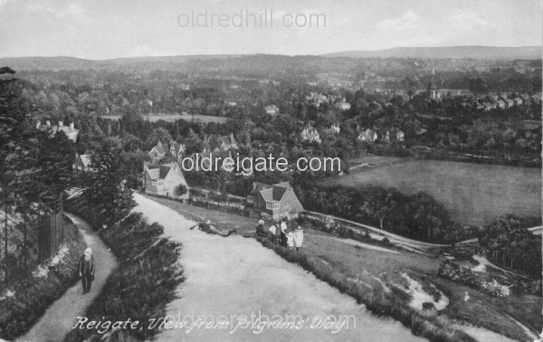 Image number 4476&prevurl=reigatehill5