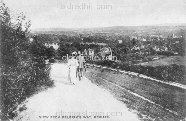 Image number 4477&prevurl=reigatehill5