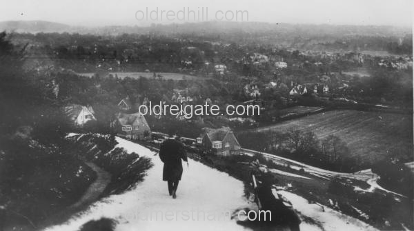 Image number 4478&prevurl=reigatehill5