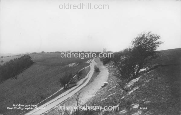 Image number 4490&prevurl=publishers39