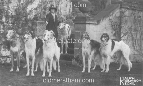 Image number 450&prevurl=blackboroughroad