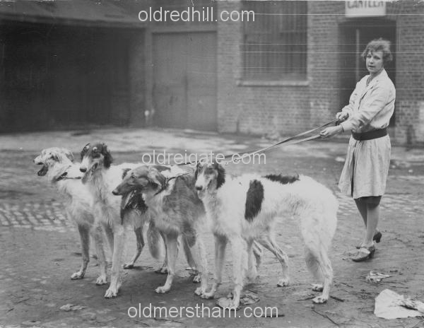 Image number 451&prevurl=publishers64