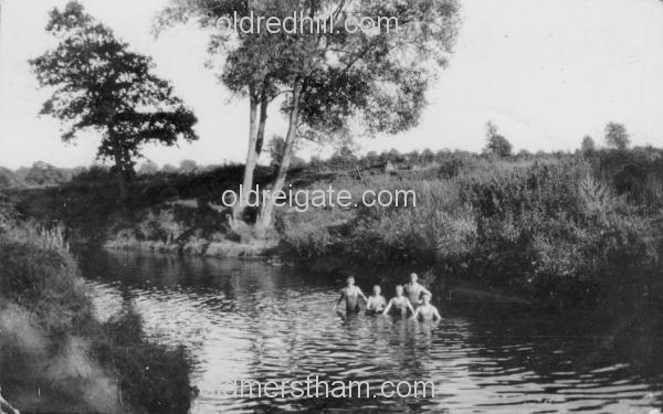 Image number 4940&prevurl=rivermole