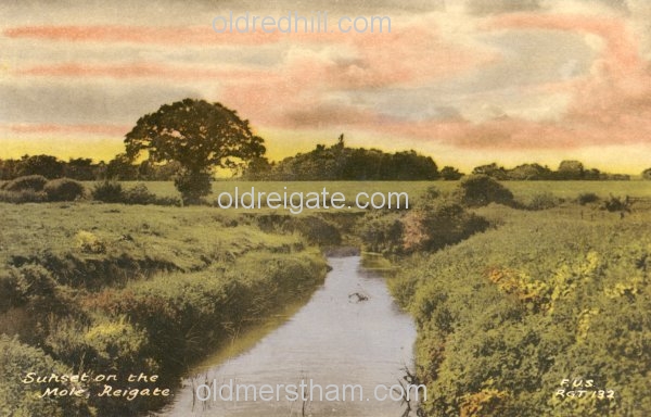 Image number 4941&prevurl=rivermole