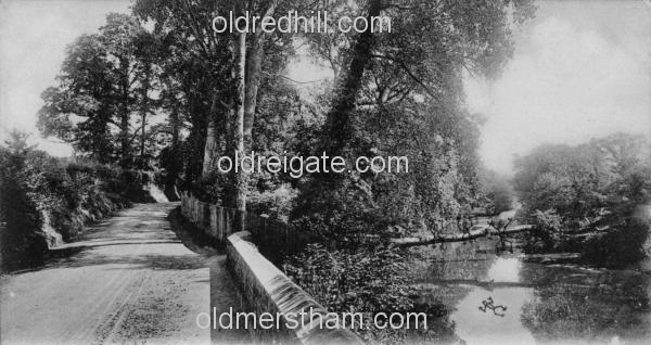 Image number 4942&prevurl=rivermole