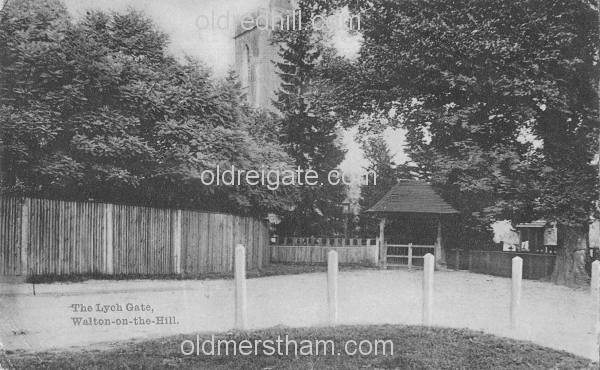 Image number 519&prevurl=publishers75