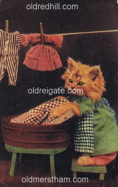 Image number 5529&prevurl=thehawthorns