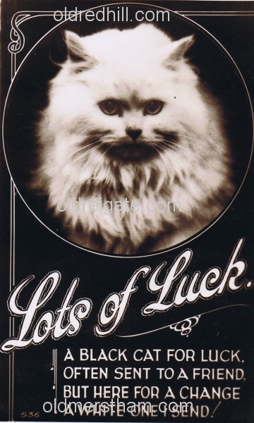 Image number 5530&prevurl=thehawthorns