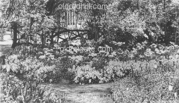 Image number 5842&prevurl=publishers249