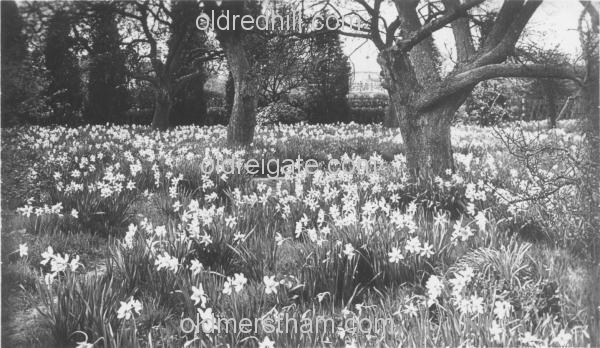 Image number 5844&prevurl=publishers249