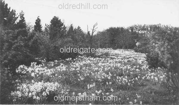 Image number 5845&prevurl=publishers249