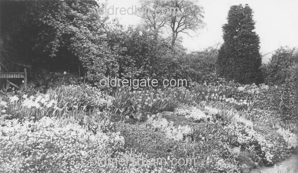 Image number 5847&prevurl=publishers249