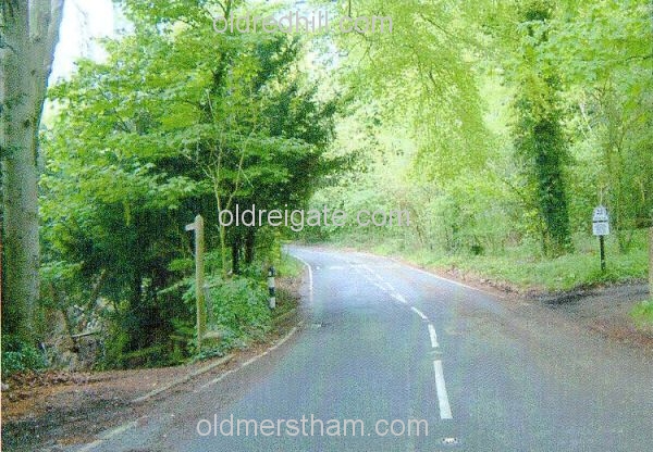 Image number 5942&prevurl=year2004