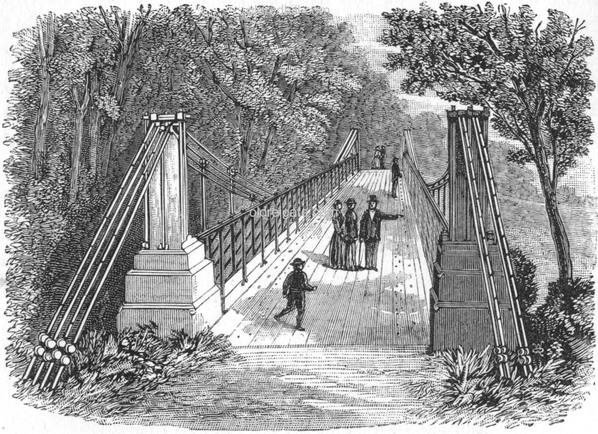 Image number 7098&prevurl=publishers334