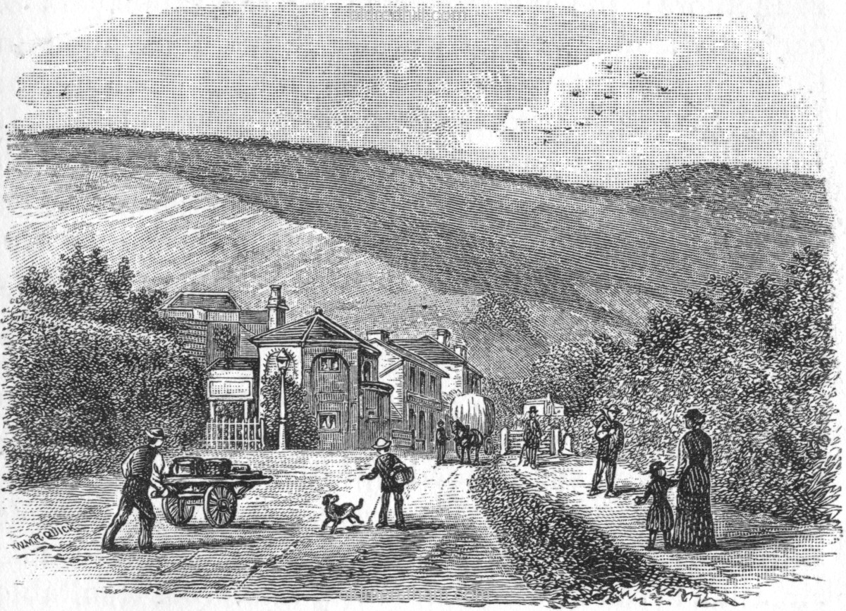 Image number 7099&prevurl=publishers334