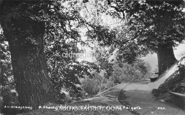 Image number 715&prevurl=publishers39