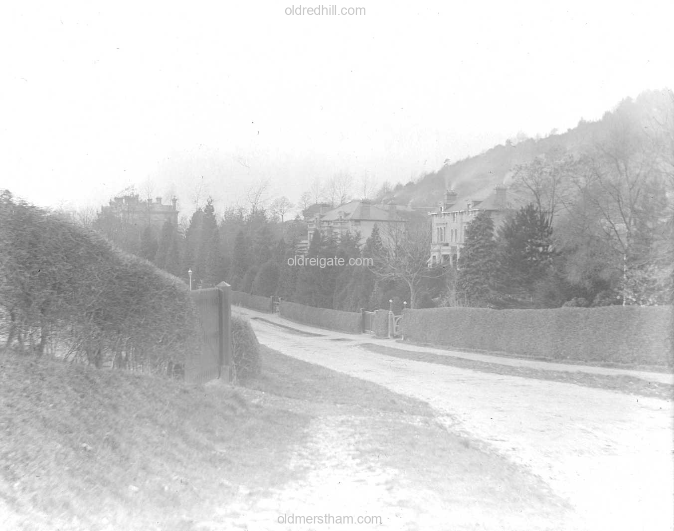 Image number 7289&prevurl=collectionof438photos