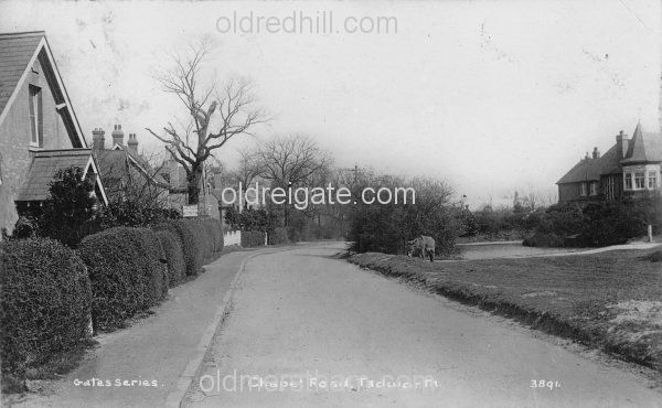 Image number 796&prevurl=publishers27