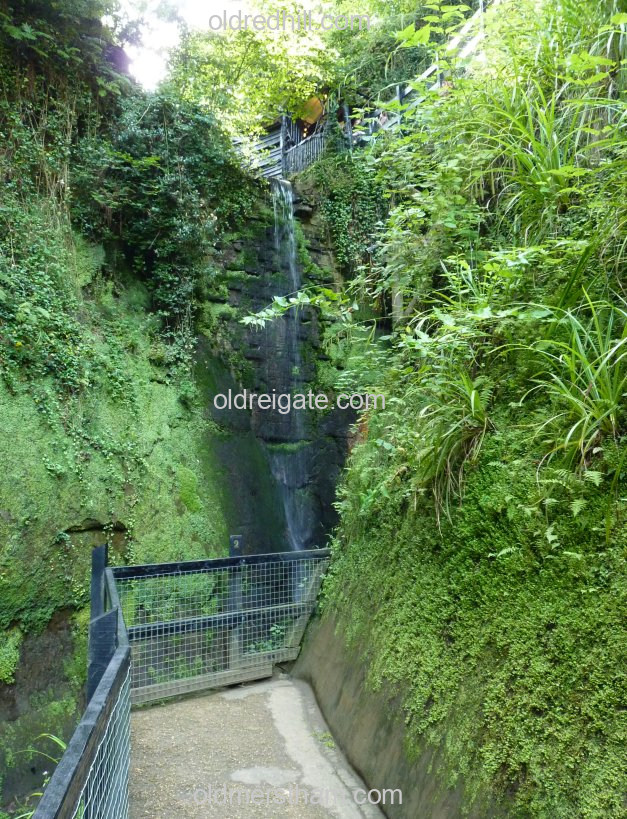 Image number 8167&prevurl=year2013