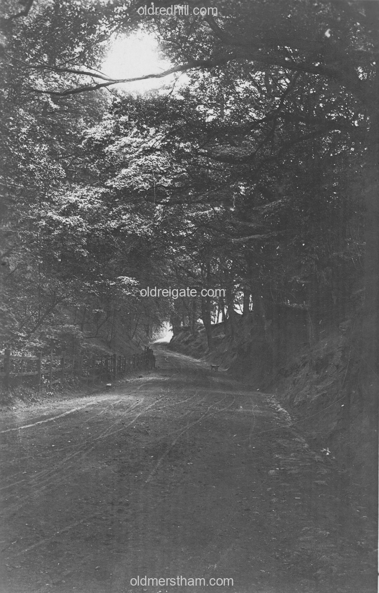 Image number 8196&prevurl=redstonehollow